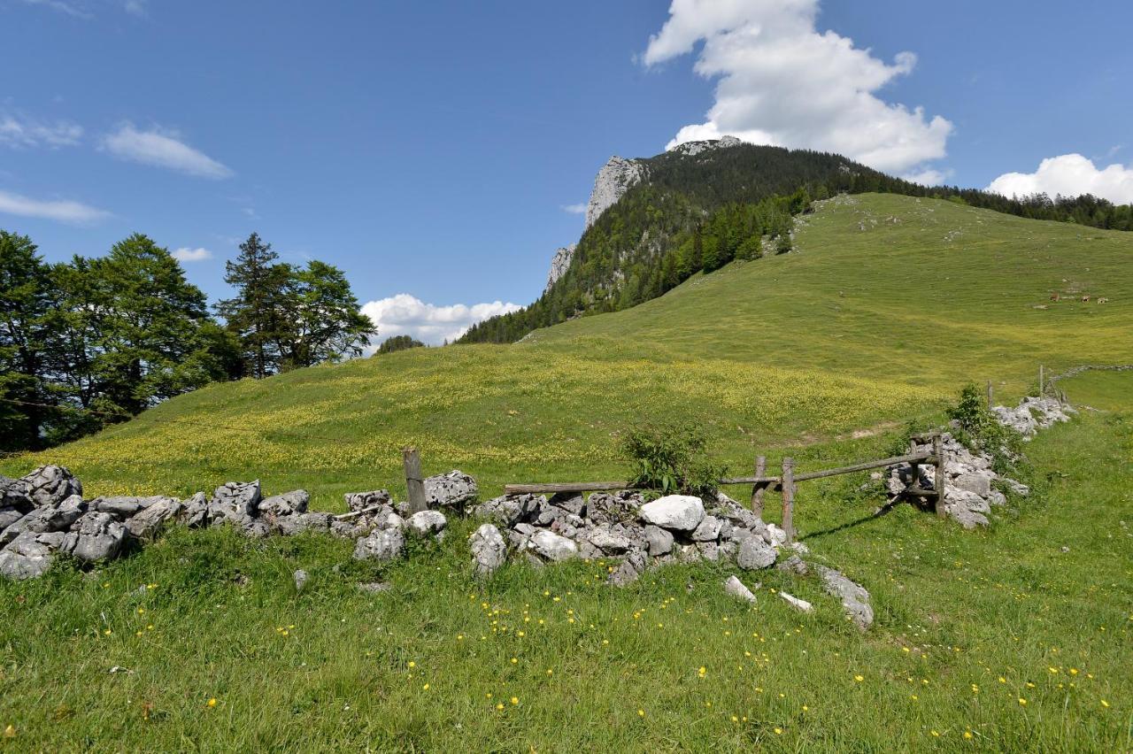 فندق ابسيفي  Ritzau Alm المظهر الخارجي الصورة